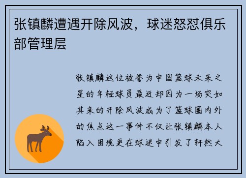 张镇麟遭遇开除风波，球迷怒怼俱乐部管理层