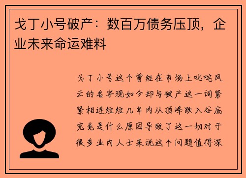 戈丁小号破产：数百万债务压顶，企业未来命运难料